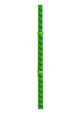 Bamboo
