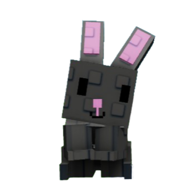 Black Bunny