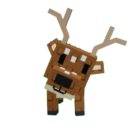 Spotted Deer